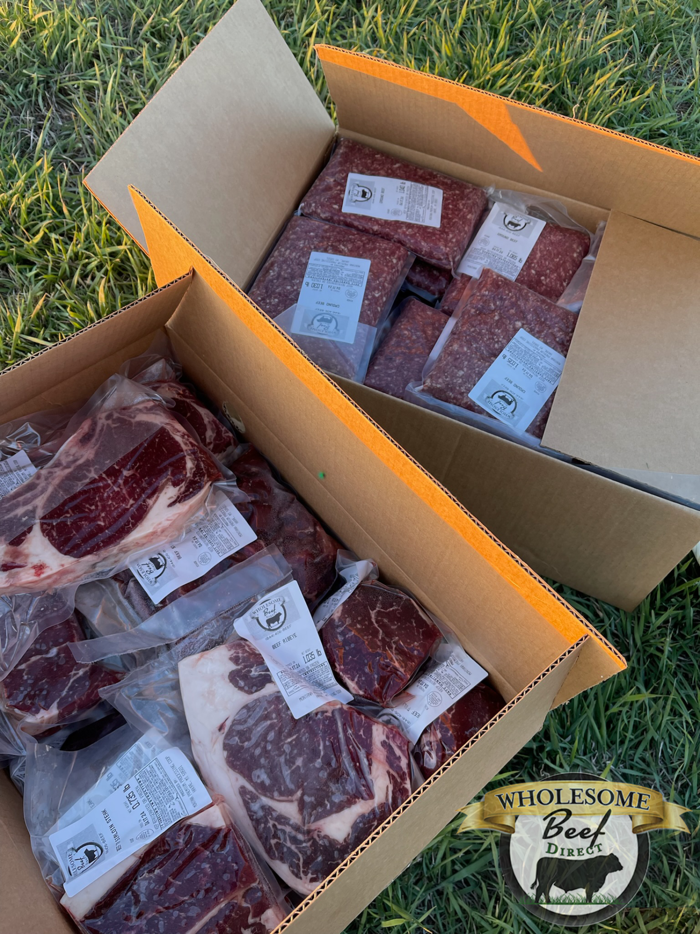 01) Value Pack