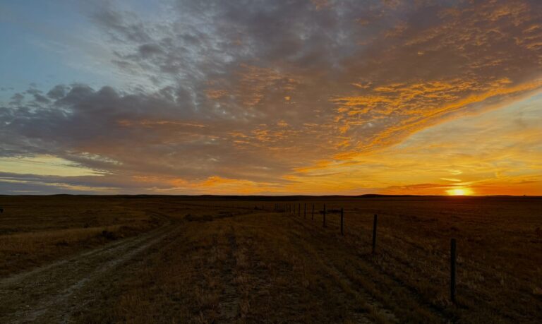 Hard Work, Full Hearts, and Frosted Mornings: A Rancher’s Autumn